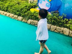 -苏州乐园森林水世界