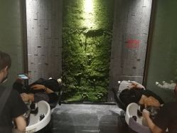 -扎嘎形象设计
