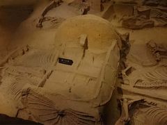 -洛阳周王城天子驾六博物馆