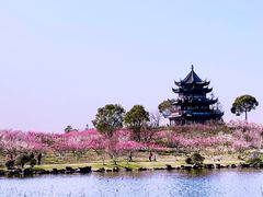 -上海海湾国家森林公园