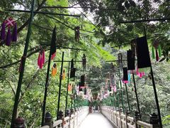 -西双版纳原始森林公园