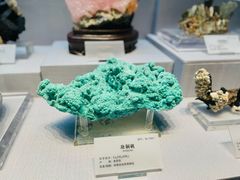 -湖南省地质博物馆