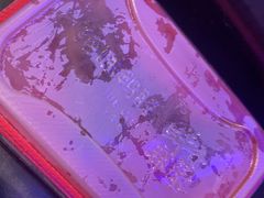 -绝味鸭脖(碧凤坊二店)