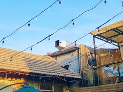 -后海16号·北京私房菜