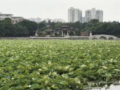-建水文庙