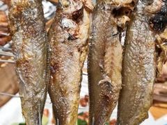 -喝丢一只鞋海鲜烧烤·海肠捞饭(文体街店)