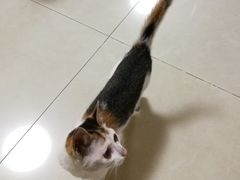 -深圳市人民医院(留医部)