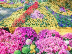 -杭州植物园