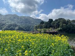 -广州市石门国家森林公园