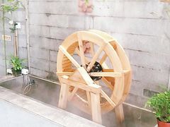-竹鲜笙全竹宴(国色天香店)