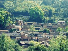 -杨家堂村