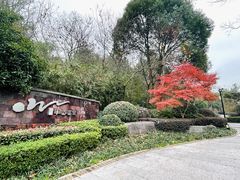 -天目湖涵田半山温泉