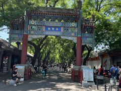 -北京国子监胡同