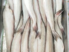 -原龙海鲜大排档(美食地标店)