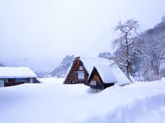 -白川乡与五箇山的合掌构造村落