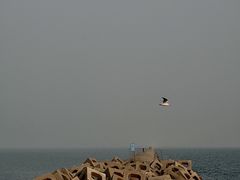 -东疆建设开发纪念公园