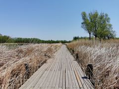 -马家湾湿地公园