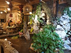 -多哥水傣味餐厅(司马巷店)