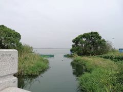 -莲花岛景区