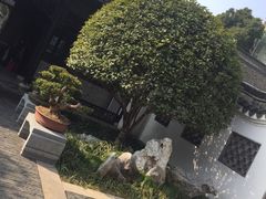 -绮园景区