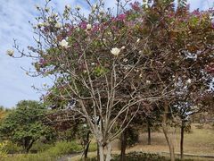 -中国移动南方基地