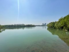 -暨阳湖生态园