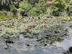 -海南热带野生动植物园
