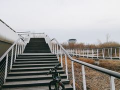 -哈尔滨大剧院