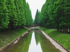 -黄海国家森林公园