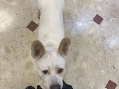 -小桃源酒家(罗湖商业城店)