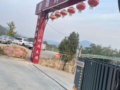 望湖烤鱼-望湖烤鱼
