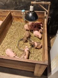 -酷嗒动物文化乐园(cutezoo西溪乐天城店)