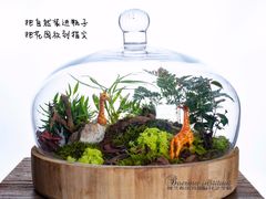 -荷兰布尔玛国际花艺学院