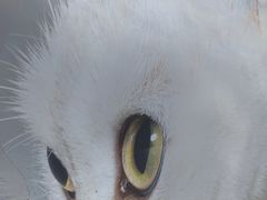 -方浜中路45弄小区