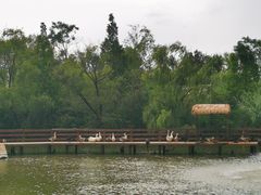 -溱湖国家湿地公园