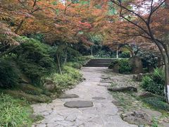 -南山植物园