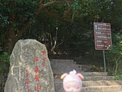 -紫金山山顶公园