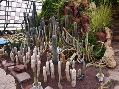 -亿利库布其七星湖沙漠生态旅游区