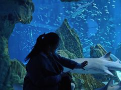 -海合安成都极地海洋公园