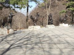 -西安祥峪森林公园