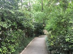 -成都市活水公园