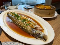 黄椒酱蒸大白鱼-连鹭海鲜·大连菜(星海店)