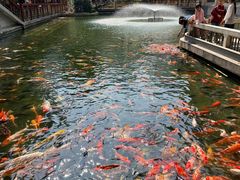 -番禺宾馆丽苑厅