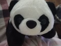 -川西坝子(老军营店)