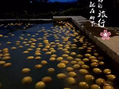 -天目湖涵田半山温泉