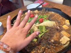 -老板恋上鱼(恒隆广场店)