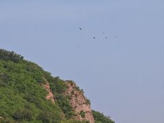 -十三陵水库