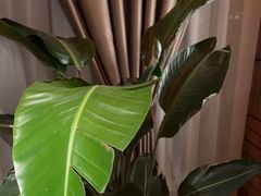 -泰合玺·精油疗愈SPA(狮山天街生活广场店)