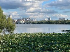 -长春市南湖公园