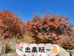 -周口店坡峰岭风景区